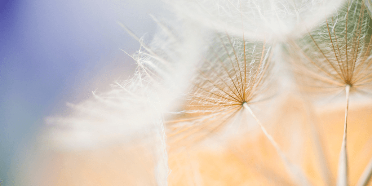 When Your Soul Is Melted Because of Trouble — Finding Hope in Psalm 107